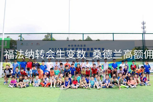 福法纳转会生变数 桑德兰高额佣金打动经纪人