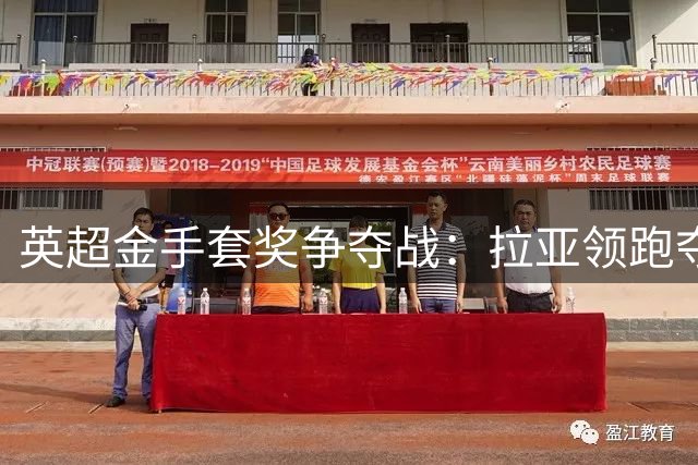 英超金手套奖争夺战：拉亚领跑夺冠概率榜